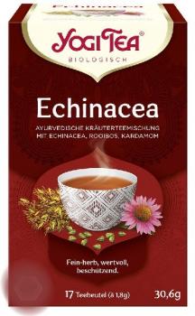 Echinacea Tee  TB